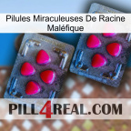 Pilules Miraculeuses De Racine Maléfique 14